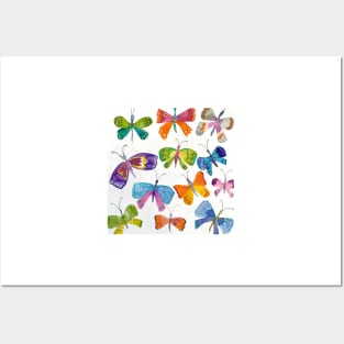 Butterflies Posters and Art